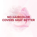 L'Oreal Paris Excellence Creme Permanent Hair Color, 4 Dark Brown, 100 percent Gray Coverage Hair Dye, Pack of 2 L'Oreal Paris