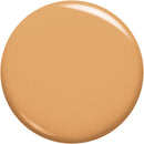 L'Oreal Paris Makeup Infallible Up to 24 Hour Fresh Wear Foundation, Toasted Almond, 1 Ounce L'Oreal Paris