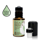 Roller Balls for Essential Oils The Perfect Essential Oil Accessories Fitments to Turn your 5 ml and 15 ml EO Bottles into Roller Bottles 12 Pack by Got Oil Supplies Discount Manufacturing & Distributing
