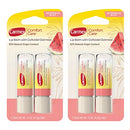 Carmex Comfort Care Lip Balm Stick with Colloidal Oatmeal in Watermelon Blast - 0.15 OZ, 2 Count (Pack of 2) Carmex