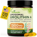 Urolithin A Dietary Supplement 1500mg with CoQ10 and Resveratrol, Liposomal Softgels for Adults, 120 Count, 60 Day Supply Infinity Warehouse