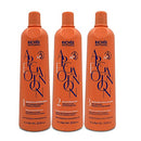 Richée Professional Argan and Ojon 3x1/3x33.8 fl.oz Liter Trio Kit Richee Professional