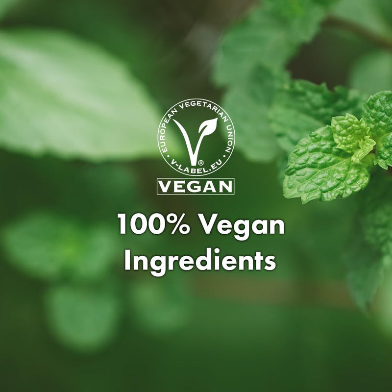 RATED GREEN Real Shea Cold Press Nourishing Shampoo w. Sunflower Seed Oil | Vitamin E | Deep Moisture & Soothing Care for Dry, Damaged Hair | Silicone-Free, Korean Vegan Formula | 13.52 fl oz Infinity Warehouse