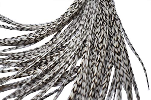 Hair Feathers Kit, 20 Long Feather Extensions with beads and loop tool kit, Black and White Striped,100% Real Rooster Feather Accessories, BW GRIZZ Feather Lily