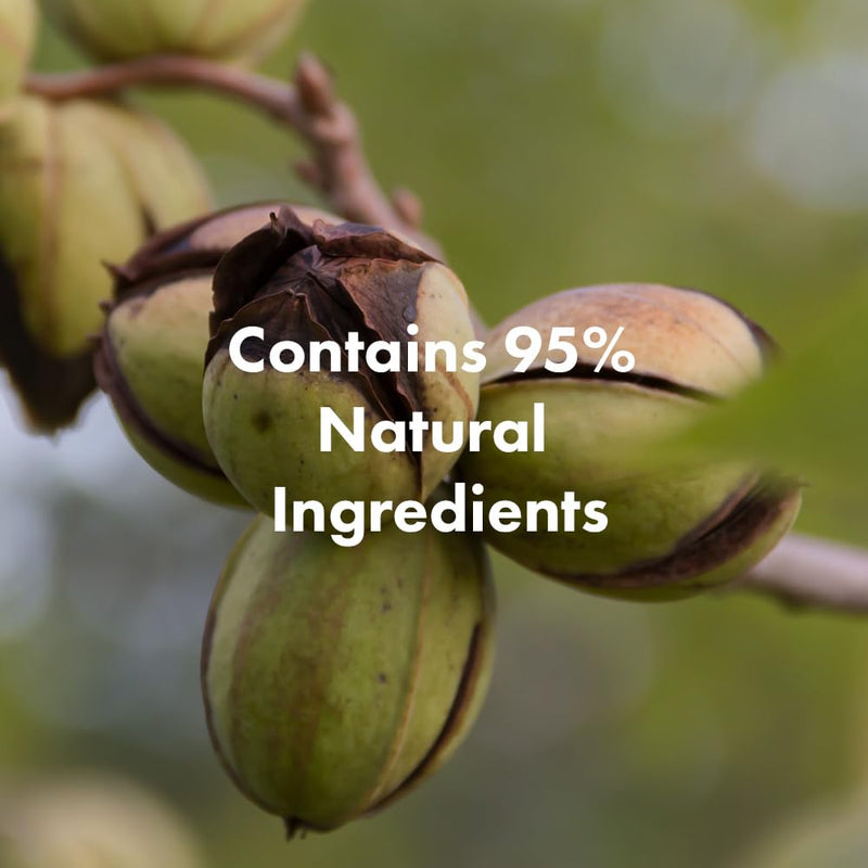 RATED GREEN Real Argan Cold Press Argan Oil Repairing Shampoo w. 13 Peptide Complex | Intensive Repair & Moisture for Damaged, Brittle Hair | Silicone-Free, Korean Vegan Formula | 13.52 fl oz Infinity Warehouse