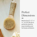 Esker Dry Brush: Skin Exfoliating Full Body Brush for Better Circulation and Energy Flow, Made with Natural Tree Wood, Perfect for Bathing or Shower Routine Infinity Warehouse