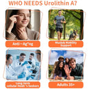 Urolithin A Supplement Gummies,500mg Urolithin A+ Supplement,Mitochondrial Support Supplement for Cellular Support,Muscle Strength & Longevity,Renewal, Sugar Free,60 CT Infinity Warehouse