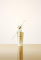 REJURAN® Dual Effect Ampoule, DOT DUAL c-PDRN® - Salmon DNA Face Serum for Deep Rejuvenation, Wrinkle Care, Firming, Skin Elasticity with Visible Anti-Aging Results. Korean Skincare (1.01 fl oz) Infinity Warehouse