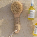 Esker Dry Brush: Skin Exfoliating Full Body Brush for Better Circulation and Energy Flow, Made with Natural Tree Wood, Perfect for Bathing or Shower Routine Infinity Warehouse