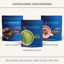 Blueprint Bryan Johnson Matcha Powder – Ceremonial Grade Japanese Matcha – Green Tea for Energy & Focus – Natural Caffeine, Antioxidant-Rich – 30mg L-Theanine- 30 Servings Infinity Warehouse