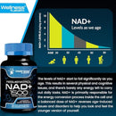 WELLNESS LABSRX Liposomal NAD Supplement, 1500mg - USA Made, NAD Resveratrol Supplement for Women and Men, NAD+ Support Cellular Health, Energy & Anti Aging - 3 Pack Infinity Warehouse