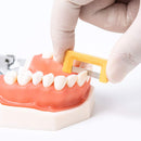 Dental Orthodontic Plus Strips Enamel Interproximal Reduction Kit EASYINSMILE 10Pc Easyinsmile