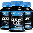 WELLNESS LABSRX Liposomal NAD Supplement, 1500mg - USA Made, NAD Resveratrol Supplement for Women and Men, NAD+ Support Cellular Health, Energy & Anti Aging - 3 Pack Infinity Warehouse