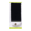 BEYELIAN Easy Fan Volume Eyelash Extensions Rapid Fans Lashes Black Professional Salon Stylists Practice Matte Texture Mink 0.07 C Curl 14mm BEYELIAN