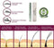 Dermaxgen Eyelash Growth Serum- Pure Organic - Enhancement For Longer, Fuller & Thicker Lashes and Eyebrows 3.5ML / FL OZ. DERMAXGEN