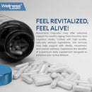 WELLNESS LABSRX Resveratrol 1000mg Capsules - 240 Count - Japanese Knotweed Extract Resveratrol - Pack of 2 Infinity Warehouse