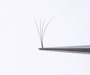 Professional Premade Fans for Lash Extensions – Handmade Russian Volume Lash Fan Tray – Natural Look, Cruelty-Free Mink Lashes for False Eyelash Extension Kit by Fabu, Matte Black, 4D 0.07 D-curl 13mm Fabu