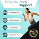 Senolytic Anti-Aging Supplement | Fisetin, Quercetin,NAC, Gamma Tocotrienols | 8-in-1 Cellular Regeneration & Longevity Formula | Boost Energy, Mental Clarity & Healthspan | 120 Vegan Capsules Infinity Warehouse