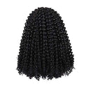 Dorsanee Passion Twist Hair Water Wave Crochet Braids for Passion Twist Crochet Hair Passion Twist Braiding Hair Hair Extensions (6Packs, 12Inch, 1