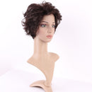 S-noilite Short Brown Curly Hair Wig Women Natural Fluffy Cosplay Daily Party Costume Full Wigs S-noilite