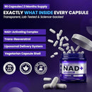 PHM NAD Resveratrol Supplement - 10,000MG Extra Strength | NAD+ Liposomal Supplements for Men and Women | NMN & NMNH Alternative | 90 Capsules, 1.5 Months Supply Infinity Warehouse
