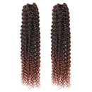 Passion Twist Hair - 18 Inch 2packs Ombre Brown Water Wave Crochet Braids Synthetic Braiding Hair Extensions (18 Inch (Pack of 2), T30)… Glinda