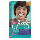 Just 5 Women's 5 Minute Permanent Hair Color with Conditioner, Grey Hair Coloring for Women - Darkest Brown Just 1