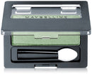 Maybelline New York Expert Wear Eyeshadow, Forest Green, Singles, 0.09 Ounce Maybelline New York