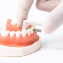 Dental Orthodontic Plus Strips Enamel Interproximal Reduction Kit EASYINSMILE 10Pc Easyinsmile