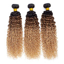 12A Ombre Brazilian Virgin Curly Hair 3 Bundles (T1B/30/27,20" 22" 24") Ombre Virgin Remy Kinky Curly Human Hair Weave Bundles 100% Unprocessed Virgin Remy Hair Bundles 3 Tone Ombre Bundles ROYAL IMPRESSION