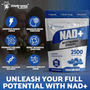 WELLNESS LABSRX NAD+ Supplement - Third-Party Tested NMNH Supplement Softgels, NAD Resveratrol 2500mg NAD Supplements for Anti-Aging, Longevity, and Cellular Health Support - Made in USA Infinity Warehouse