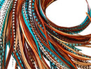 Feather Hair Extensions, 100% Real Rooster Feathers, Long Natural Colors (NBT Striped Kit) Feather Lily