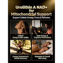 Urolithin A Supplement with Liposomal NAD+, Trans-Resveratrol, Ubiquinol, TMG, PQQ, 6-in-1 Formula for Cellular Energy & Mitochondrial Support, 120 Softgels Infinity Warehouse