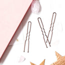 Hair Pins for Buns, IKOCO 80pcs U Shaped Hair Pins Brown Hair Bun Pins for Women Girls with Storage Box (2.4 Inch） IKOCO