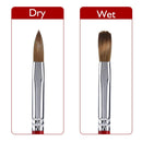 Accmor Kolinsky Acrylic Nail Brush, 3D Nail Art Brush for Acrylic Powder, 100% Kolinsky Nail Art Brush Professional Salon Quality (Size