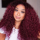Ombre Dark Red Curly Weave Human Hair 4 Bundles 99J Brazilian Curly Hair 100g/Bundles Burgundy Kinky Curly Human Hair Extensions for Black Women (14"16"18"20") ALISFEEL