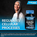 WELLNESS LABSRX Liposomal NAD Supplement, 1500mg - USA Made, NAD Resveratrol Supplement for Women and Men, NAD+ Support Cellular Health, Energy & Anti Aging - 3 Pack Infinity Warehouse