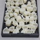 New Dental Temporary Crown Material for Molar Teeth with High Quality 1 Box by Superdental Super Dental