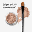 bareMinerals Loose Powder Concealer SPF 20, Talc-Free Undereye Concealer, Lightweight Coverage, Conceals Redness & Blemishes, Mineral Makeup, Cruelty-Free, Vegan Infinity Warehouse