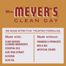 Mrs. Meyer's Limited Edition Scent Apple Cider Hand Soap 12.5 oz (Pack of 2) MRS. MEYER'S CLEAN DAY