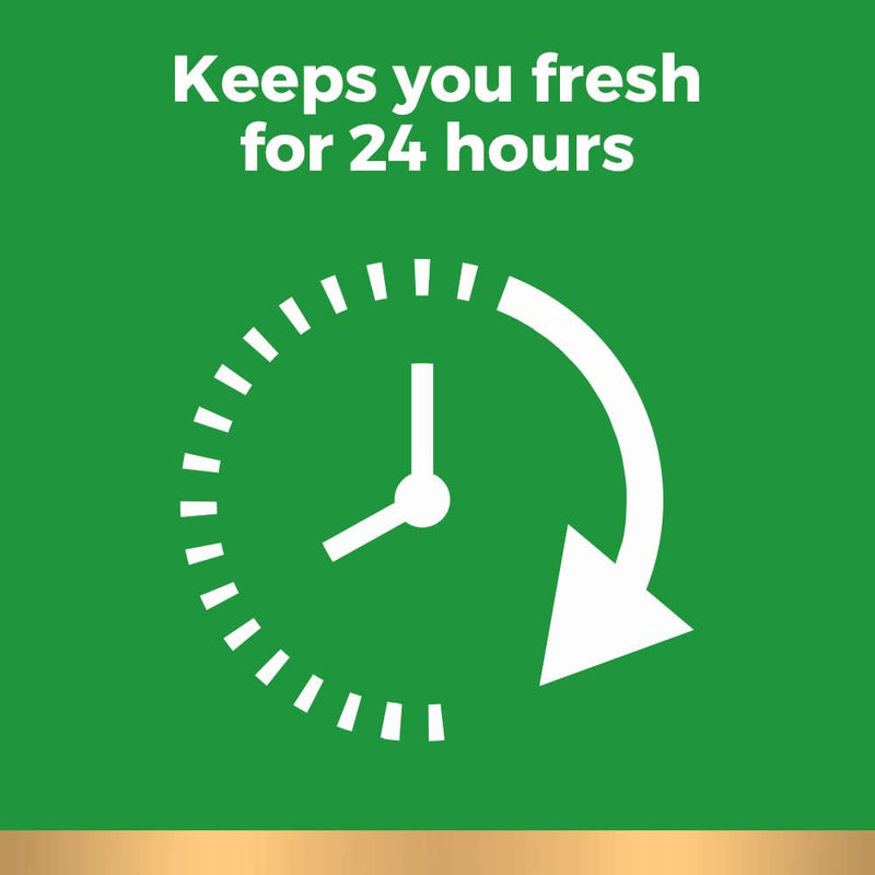 Irish Spring Original Clean Body Wash, 30 Oz Pump (Pack of 4) Infinity Warehouse