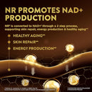 Swisse Plus NAD+ Beauty Restore | Clinically Tested Ingredients | NAD+ Supplement for Men & Women | Supports Collagen Formation, Skin Elasticity & Anti-Aging Supplement | 30 Capsules Infinity Warehouse