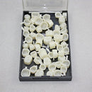 New Dental Temporary Crown Material for Molar Teeth with High Quality 1 Box by Superdental Super Dental