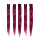 Winsky Burgundy Clip in Colored Hair Extensions 100% Real Human Hair - Straight Highlights Colored Clip on Hairpieces 5 Pieces/Set (18inch, Burgundy) Winsky