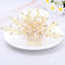 Aukmla Bride Wedding Hair Combs Crystal Hair Piece Flower Hair Accessories Decorative for Women and Girls Aukmla