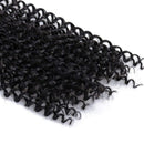 7 Packs Passion Twist Hair 22 Inch Water Wave Synthetic Braids for Passion Twist Crochet Braiding Hair Goddess Locs Long Bohemian Curl Hair Extensions (22Strands/Pack, 1B