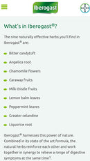 Medical Futures Inc. - Iberogast® 100 ml 3.4 oz Medical Futures