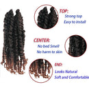 8 Packs Passion Twist Crochet Hair 10 inch Short Bohemian Braids Synthetic Hair Extensions (10Inch,T30) LEONYERI Store