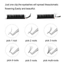 Volume Lash Extensions 0.05 C Curl 8mm Easy Fan Rapid Blooming Easy Fanning 2D 3D 5D 6D 10D Russian Volume Eyelash Extensions（0.05C 8mm） KevKev
