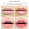 Lip Gloss Base 10 Ounce (350 ML) PARAMISS Moisturize Lip Gloss Base for Making Your Own Lip Glaze , Diy Lip Plumper Making Organic Diy lip Glow Diy clear lip gloss (B) PARAMISS Store